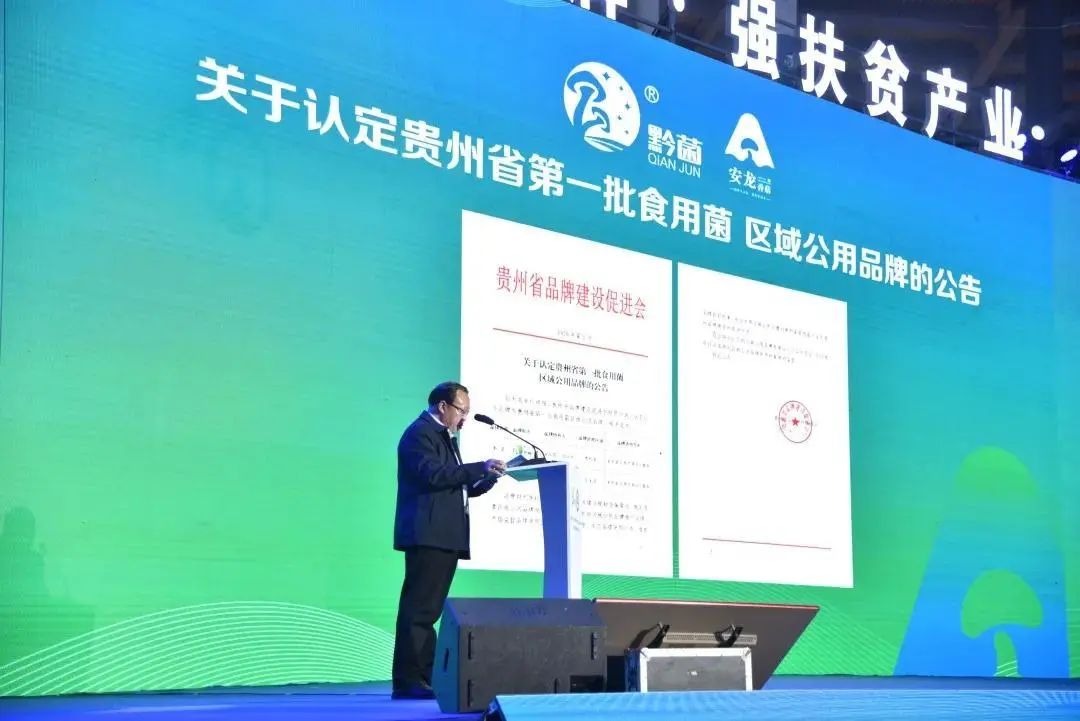 圖片關(guān)鍵詞 https://mmbiz.qpic.cn/mmbiz_jpg/tViaTicjwibVZmgEXXCALToc7mAB2rFo1LnphlgOvw2zHrq5xI7YU9yygMjJ9BT4x0h6HLInNicNAw7rUibwh3TNzgw/640?wx_fmt=jpeg