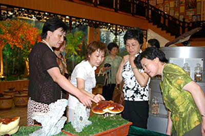 圖片關鍵詞 圖片關鍵詞