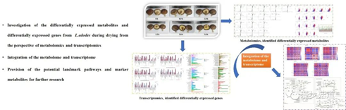 圖片關鍵詞 圖片關鍵詞