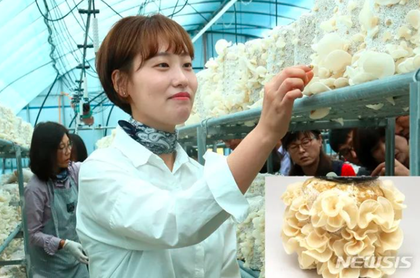 圖片關鍵詞 圖片關鍵詞