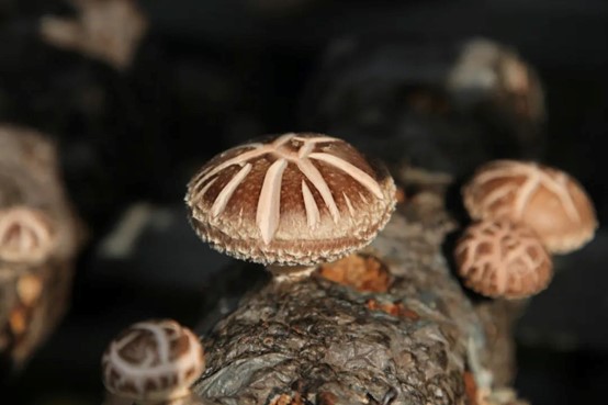 圖片關鍵詞 圖片關鍵詞