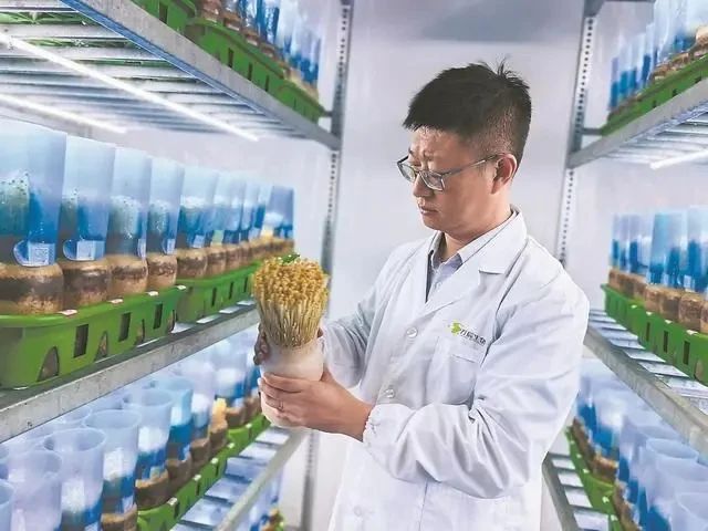 圖片關鍵詞 圖片關鍵詞