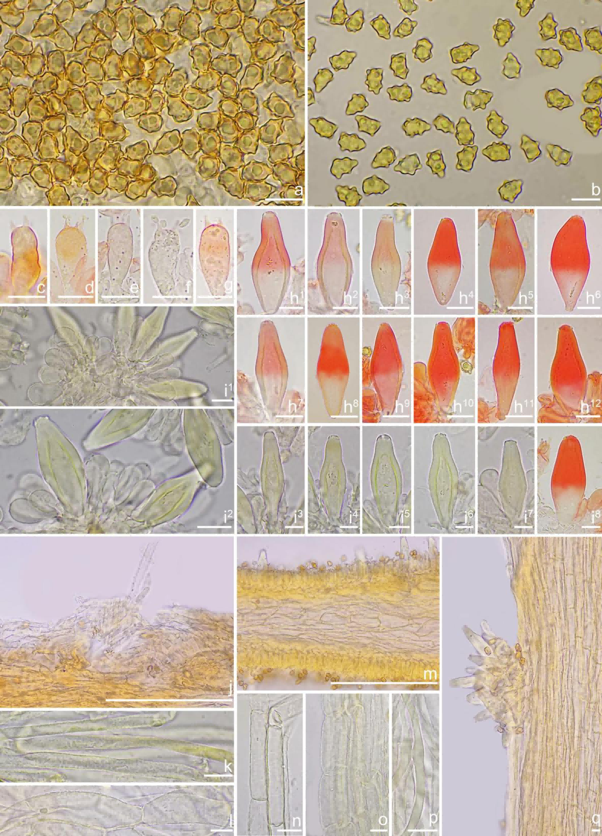 圖片關鍵詞 圖片關鍵詞
