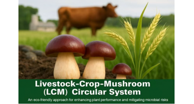 行業(yè)動(dòng)態(tài)