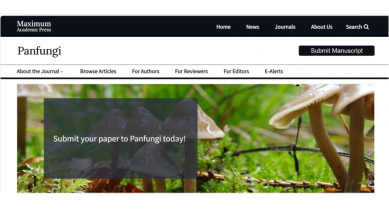 行業(yè)動態(tài)