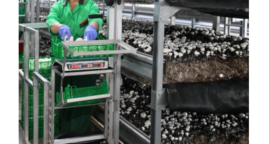 行業(yè)動態(tài)